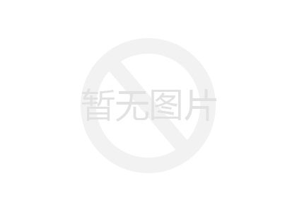 砖带网，砖带网厂家